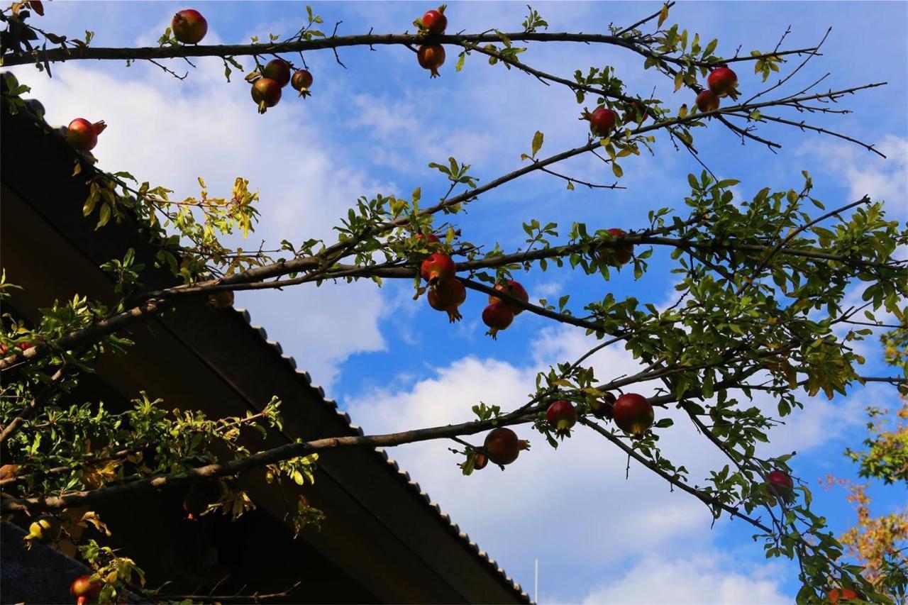 Howard Johnson Jinlin Plaza Lijiang Lijiang (Yunnan) Exterior foto